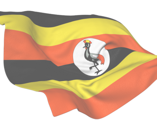 Uganda: Government should Account for Heinous Violations
